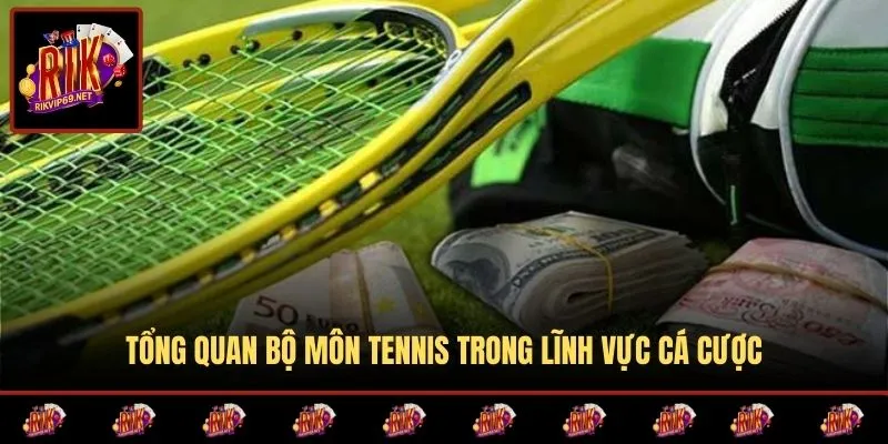 Hiểu rõ đặc điểm tennis trước khi phân tích kèo