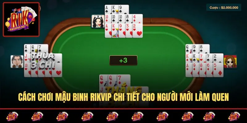 Cách Chơi Mậu Binh RIKVIP Chi Tiết Cho Người Mới Làm Quen